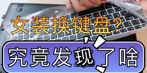 笔记本按键失灵修复小技巧（快速解决笔记本按键失灵问题的实用方法）