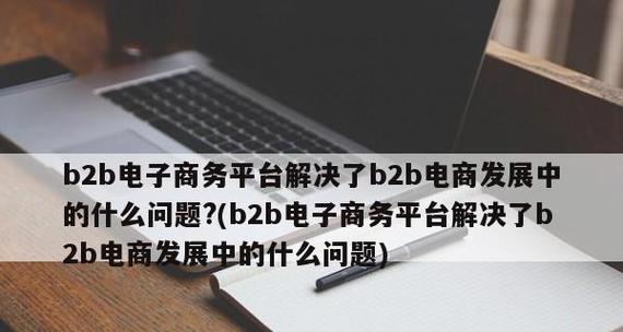 探索B2B电商平台的意义和作用（解析B2B电商平台的特点与发展趋势）