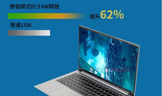 商务笔记本电脑性价比排行榜（揭秘2024年商务笔记本电脑的最佳性价比选择）